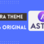 Astra Theme Premium